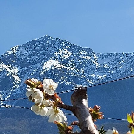 Villa Sole Colico Εξωτερικό φωτογραφία
