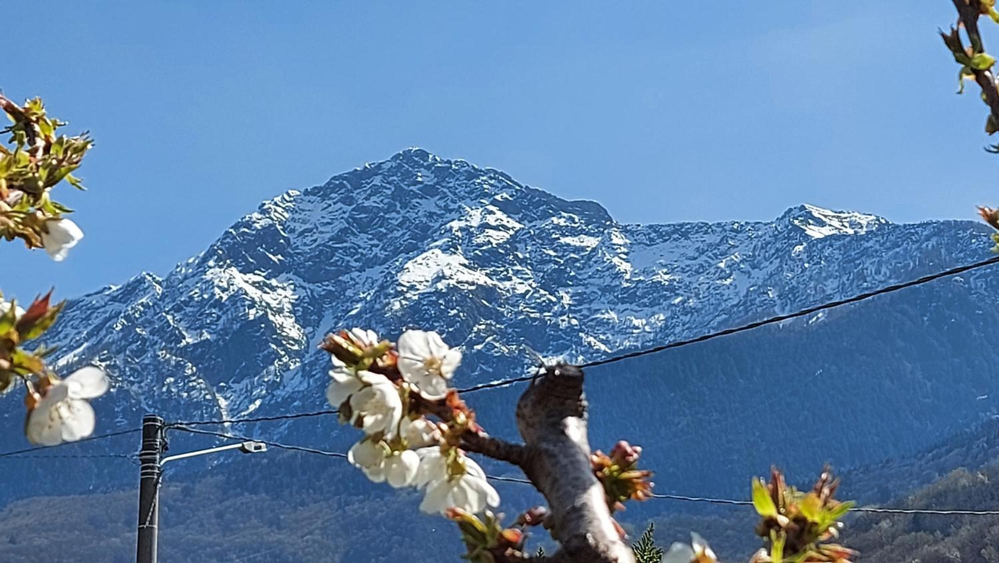 Villa Sole Colico Εξωτερικό φωτογραφία