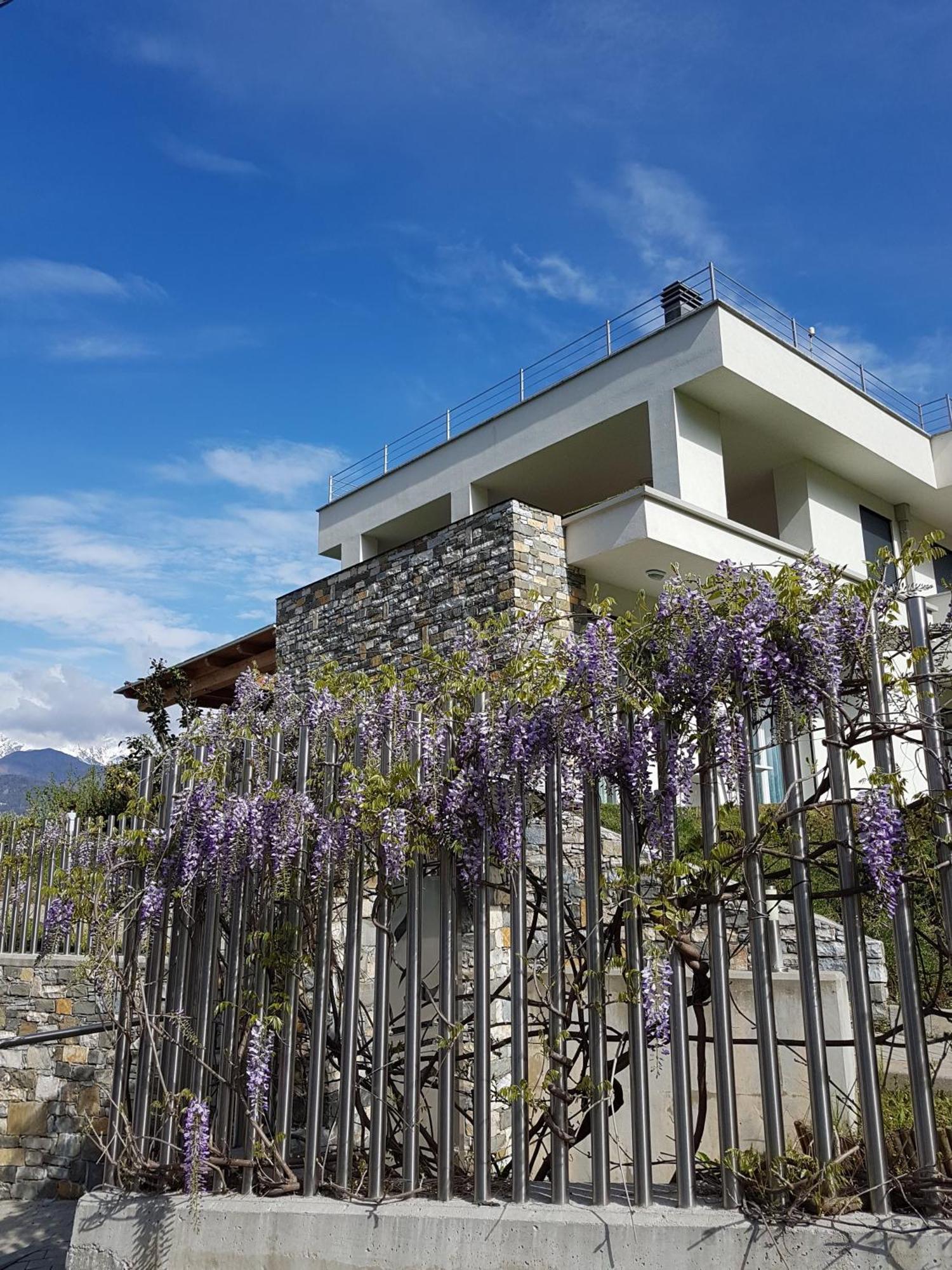 Villa Sole Colico Εξωτερικό φωτογραφία